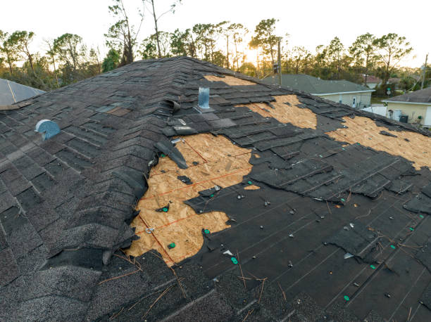 Best Gutter Installation and Repair  in Yutan, NE