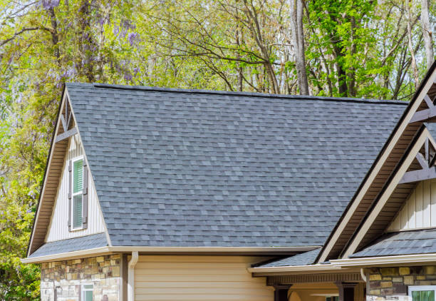 Best Skylight Installation and Repair  in Yutan, NE