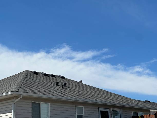 Best Roof Coating Services  in Yutan, NE